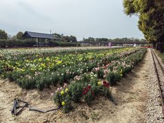 -广东花都香草世界旅游度假区