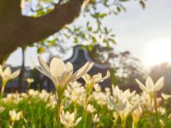 -厦门园林博览苑