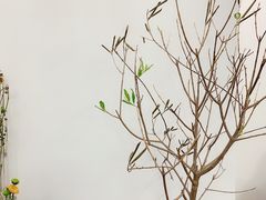 -Ten Olives甜点