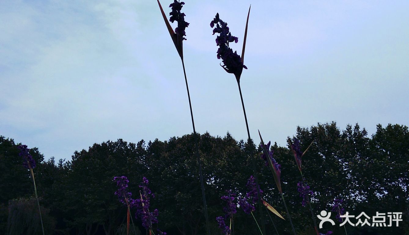 小草说，只要心向阳光，迎着夕阳，尽情欢笑