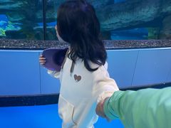 -泉城欧乐堡海洋极地世界