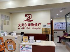 -艾贝尔宠物诊疗