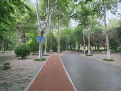 -西安市长乐公园