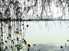 -金银湖国家城市湿地公园
