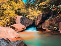 -广州白江湖森林公园