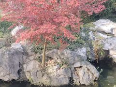 -苏苑饭店-中餐厅(长桥地区店)