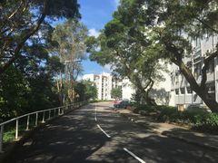 -大埔公路-马料水段香港中文大学(公交站)