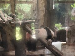 -成都动物园