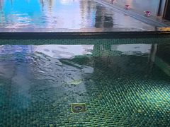 -浅深(北京北四环精品店)