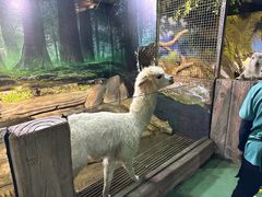 -苏州海洋馆