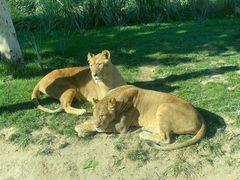 -北京野生动物园