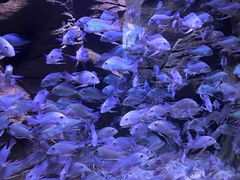 -成都浩海立方海洋公园