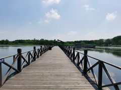 -溱湖国家湿地公园