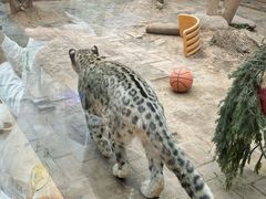 -青藏高原野生动物园
