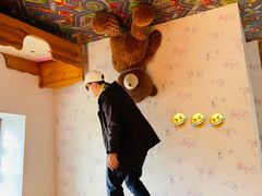 -金山农民画村-枫泾波兰倒置屋