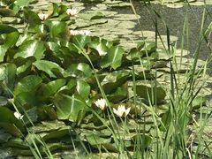 -永定河休闲森林公园