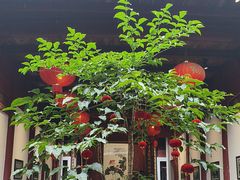 -董府·古宅餐厅