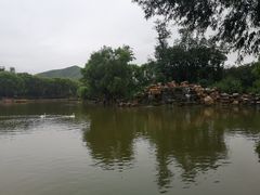 -石家庄市动物园