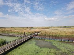 -宁波杭州湾国家湿地公园