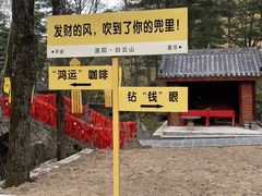 -洛阳白云山景区