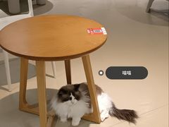 -藏猫猫咖啡主题馆(中央大道店)