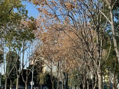 -武汉传媒学院