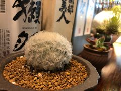 -麦秋寿司(富都广场店)
