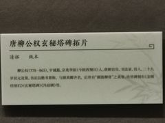 -贵州省博物馆(新馆)
