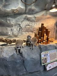 -Zoolung Zoolung动物主题公园(海信广场店)