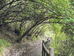 -郧西五龙河风景区