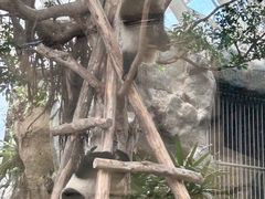 -香港海洋公园