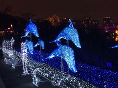 -飞凤山奥体公园