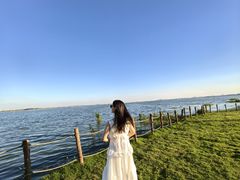-七的湖·晚芳亭·阳澄湖农家菜·大闸蟹(莲花岛店)