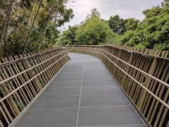 -福道