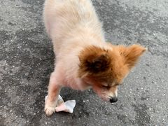 -姐妹面馆(水澄路店)