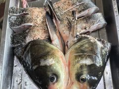 -姥家大锅台水库渔家