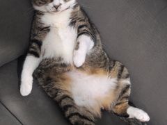 -味之绝热血美蛙鱼火锅(中坝店)