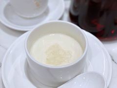 姜奶炖燕窝-海上名珠·海鲜酒楼(励骏庞都店)