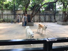 -TrueLove @ Neverland (Husky Cafe)