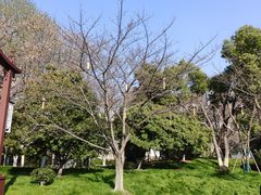 -堤角公园