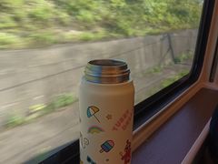 -朱毅育龙游泳俱乐部