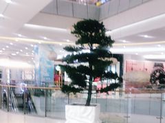 -凯德广场(学府店)