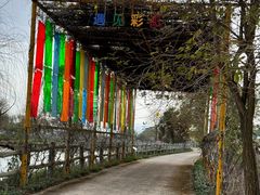 -天适樱花悠乐园