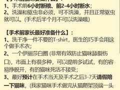 -纳吉亚猫专科动物医院(康都外科中心)