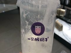 -一只酸奶牛(成都sm广场店)