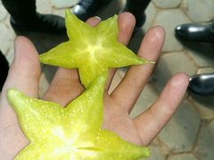 -北戴河集发农业梦想王国