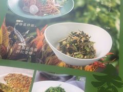 -金鼎轩(鸟巢北辰荟店)