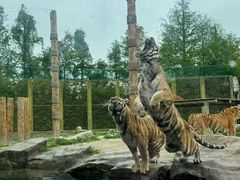 -上海野生动物园