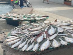 -东钱湖旅游度假区