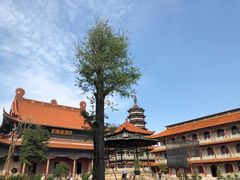 -高旻寺